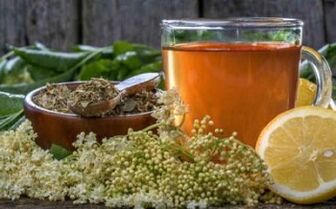 كيفية التخلص من الطفيليات في الجسم مع العلاجات الشعبية